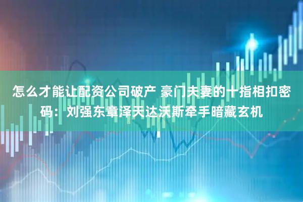 怎么才能让配资公司破产 豪门夫妻的十指相扣密码：刘强东章泽天达沃斯牵手暗藏玄机