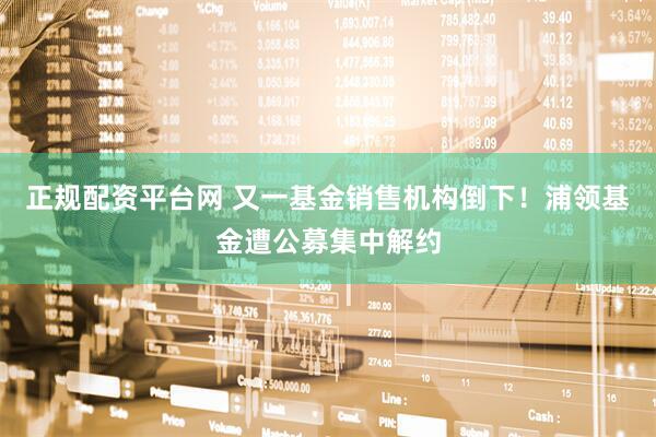 正规配资平台网 又一基金销售机构倒下！浦领基金遭公募集中解约