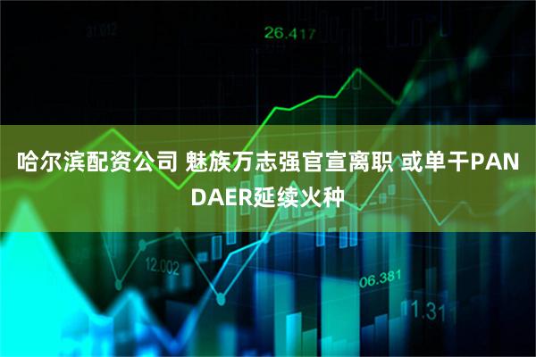 哈尔滨配资公司 魅族万志强官宣离职 或单干PANDAER延续火种